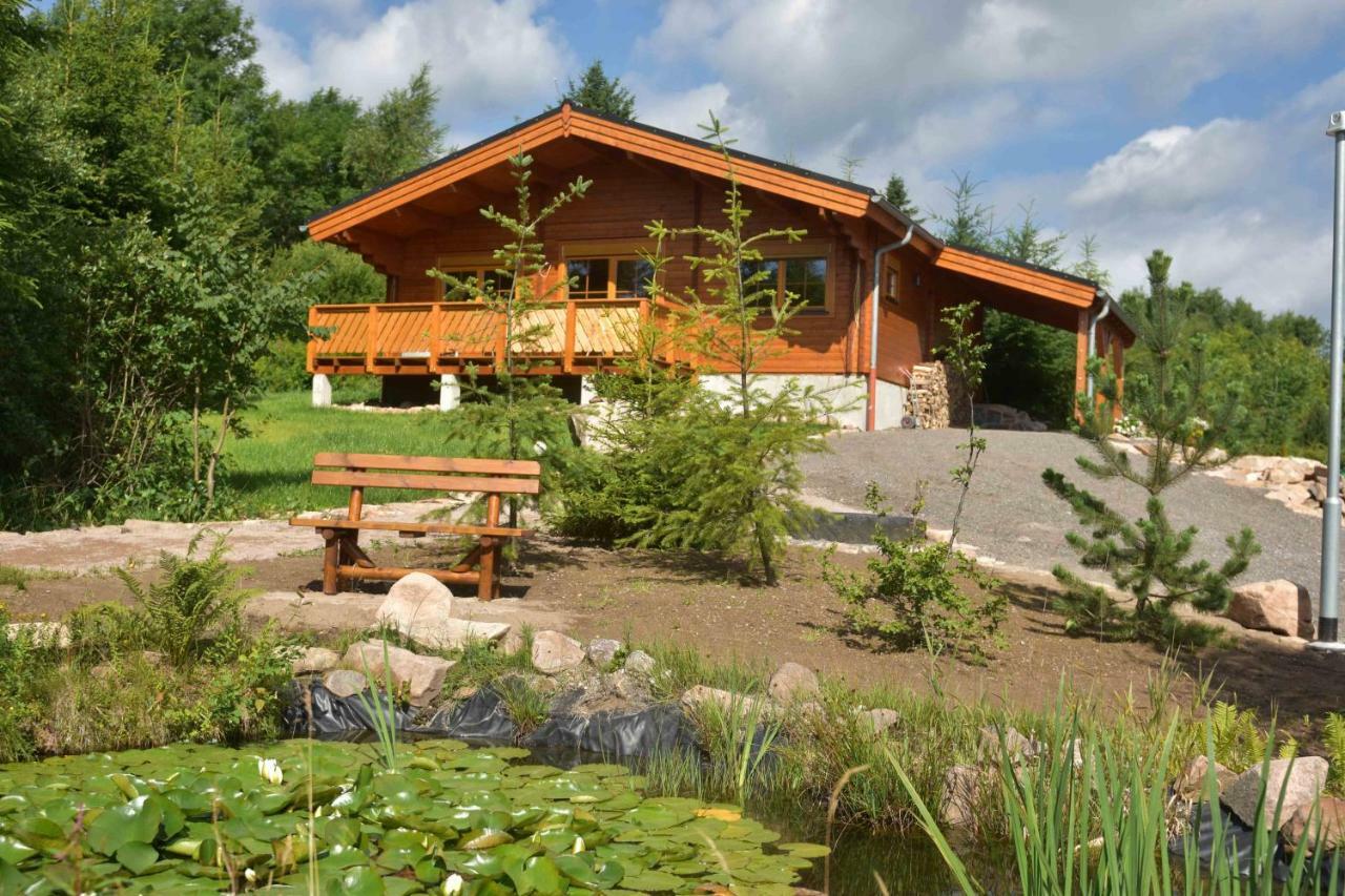 Вилла Erzgebirgsholzhaus Am Lugstein Альтенберг Экстерьер фото
